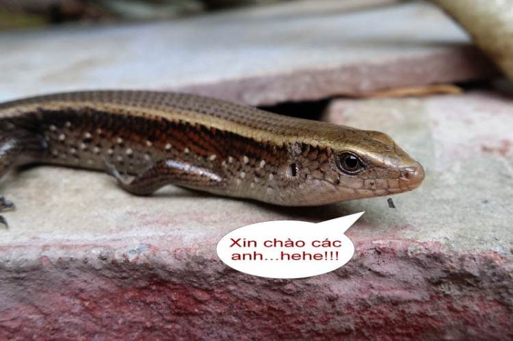 Giao lưu hàng ngày giữa Các Mem Hội Chém Gió Giao lưu hàng ngày giữa Các Mem Hội Chém Gió