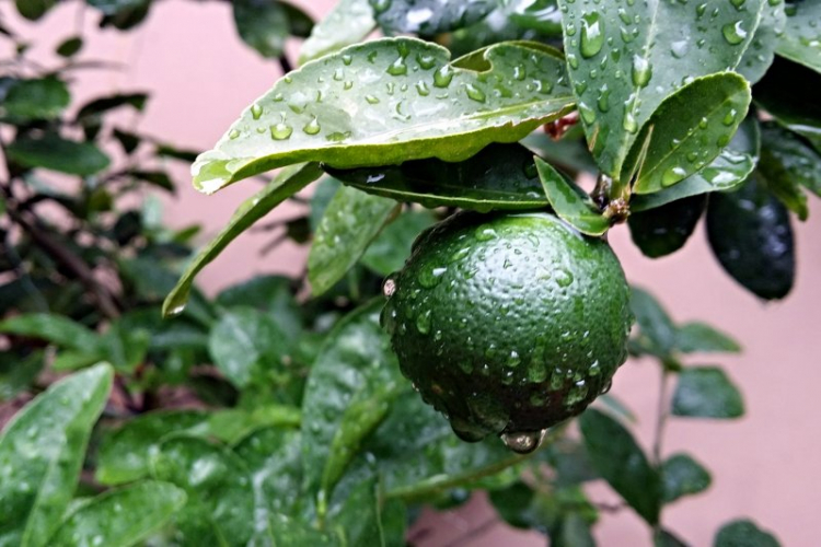 Giao lưu hàng ngày giữa Các Mem Hội Chém Gió