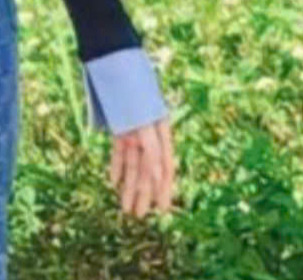 1728298281302.png 1728298281302.png