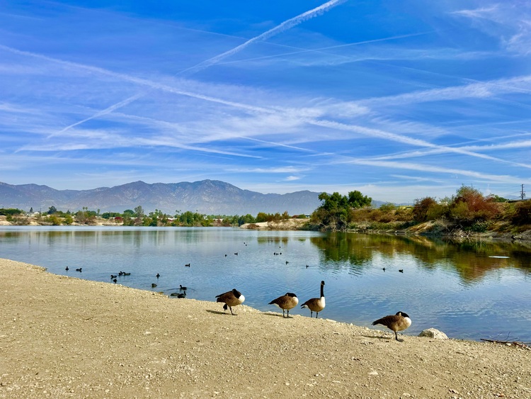 Peck Road Water Conservation Park