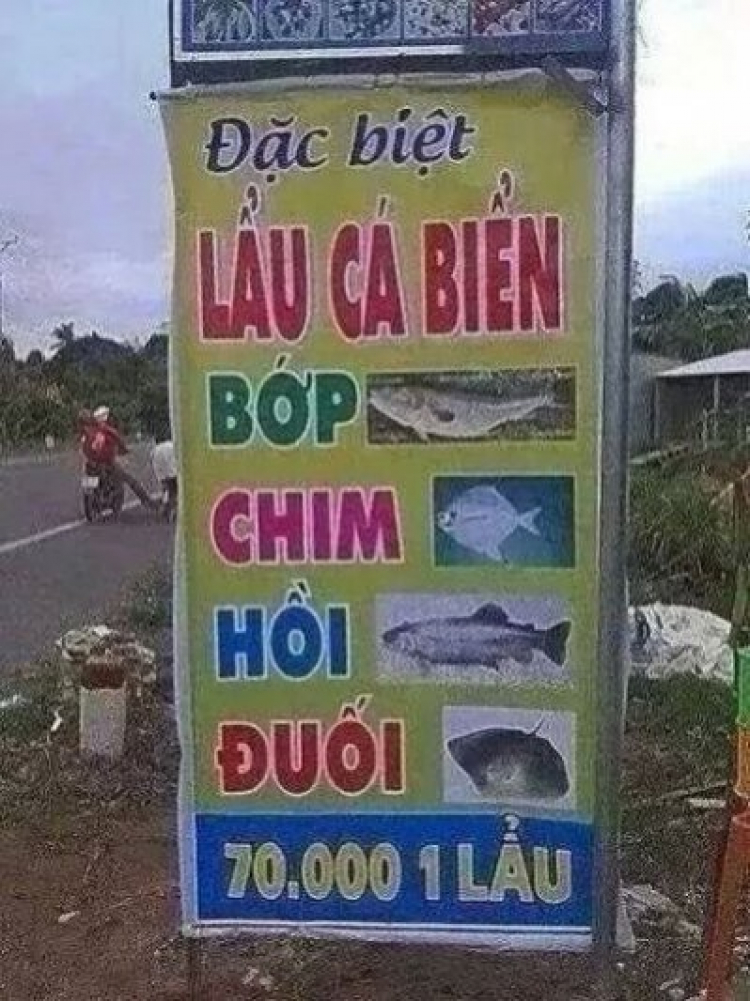 GIẢI TRÍ TÍ NÀO CÁC BÁC