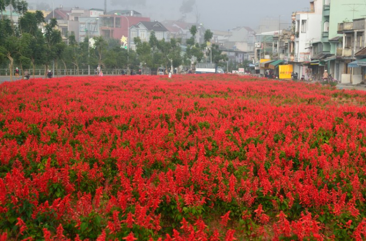 DALAT GIỜ CHỈ CÒN TRONG KÝ ỨC