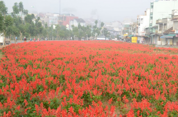 DALAT GIỜ CHỈ CÒN TRONG KÝ ỨC