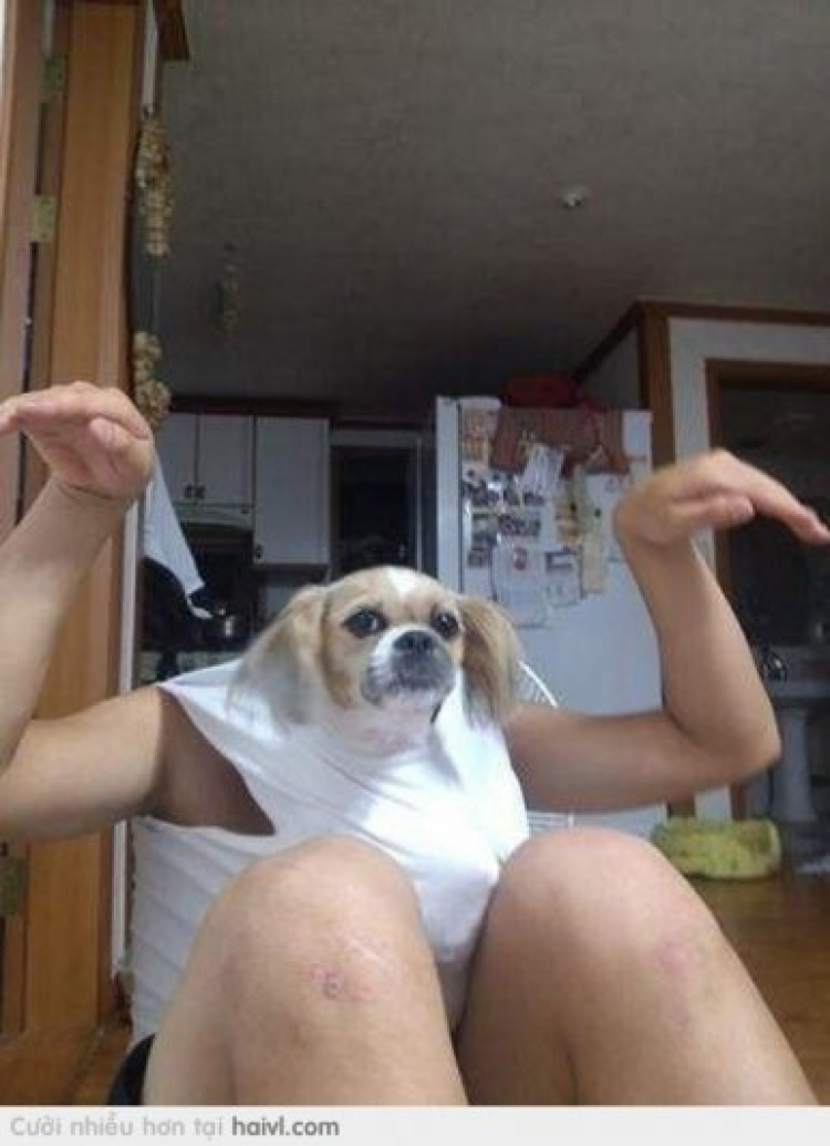 Giao lưu hàng ngày giữa Các Mem Hội Chém Gió Giao lưu hàng ngày giữa Các Mem Hội Chém Gió