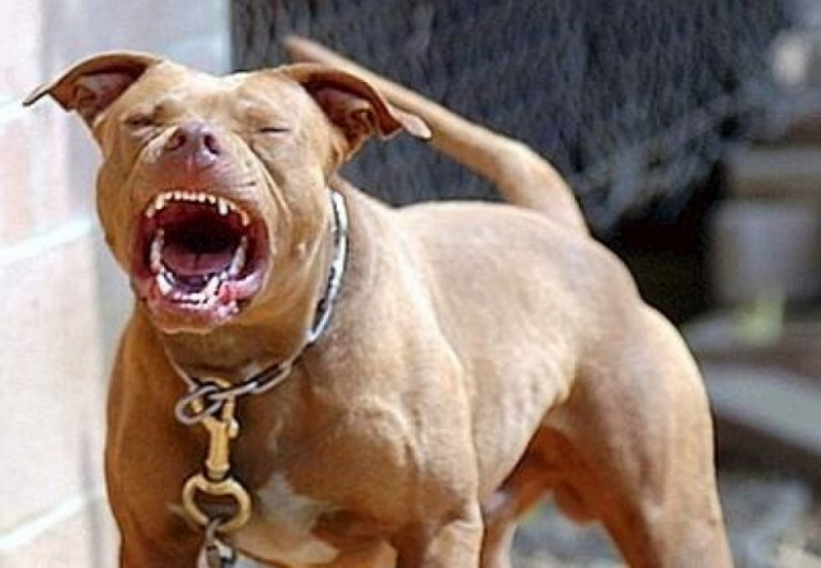 Giao lưu hàng ngày giữa Các Mem Hội Chém Gió Giao lưu hàng ngày giữa Các Mem Hội Chém Gió