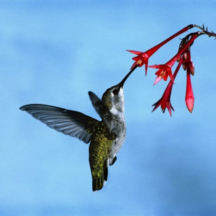 Giao lưu hàng ngày giữa Các Mem Hội Chém Gió