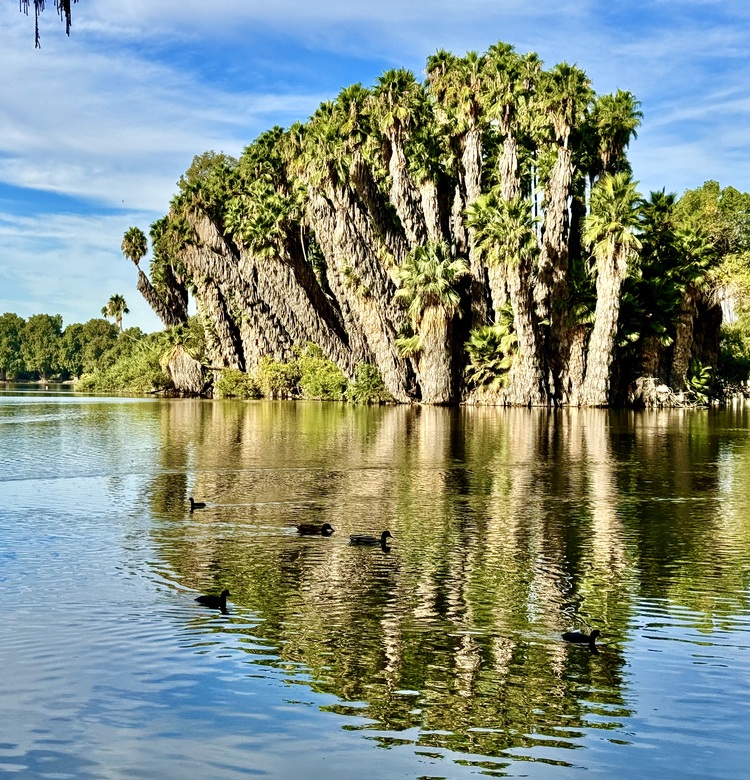 Soi bóng hồ thu