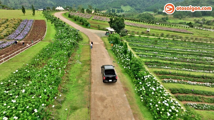 Khám phá vẻ đẹp hoang sơ của Phan Rang - Đà Lạt cùng Toyota Hilux Adventure