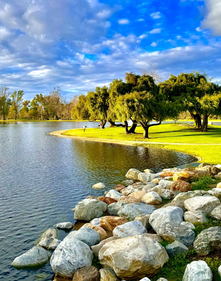 Chiều về trên William R. Mason Regional Park - Irvine