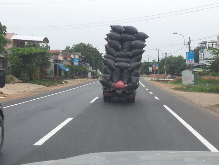 Cái gì đây kỳ này?