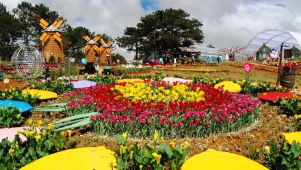 festival-hoa-dalat-8398.jpg