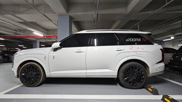 hyundai-palisade-calligraphy-woopa-tv2.png