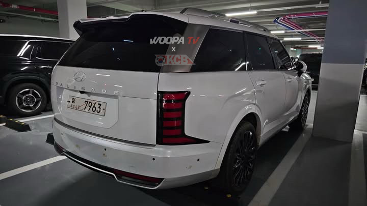 hyundai-palisade-calligraphy-woopa-tv10.png