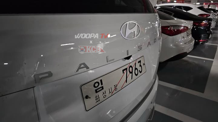 hyundai-palisade-calligraphy-woopa-tv11.png