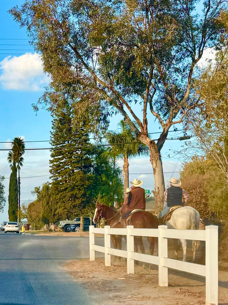 Horse Town USA - Norco