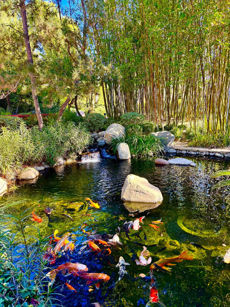 The Gardens of the World  - Downtown Thousand Oaks