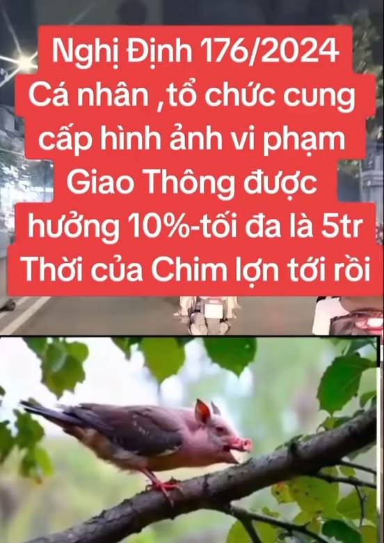 Cách thức để người dân gửi hình ảnh, clip vi phạm giao thông cho cơ quan công an