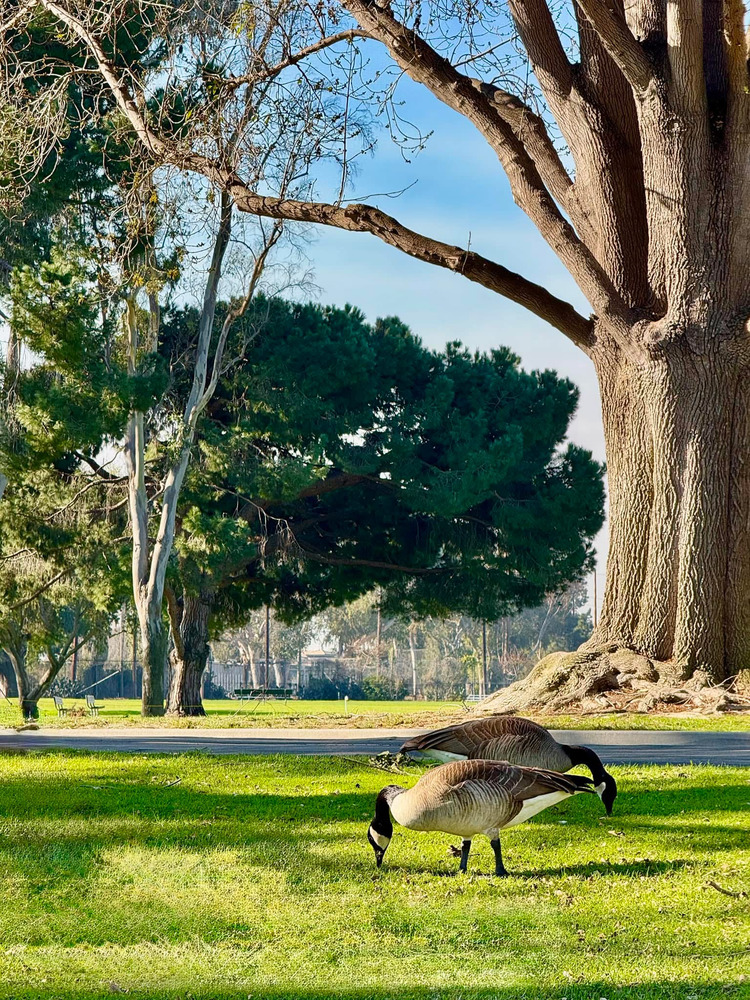 Mile Square Regional Park