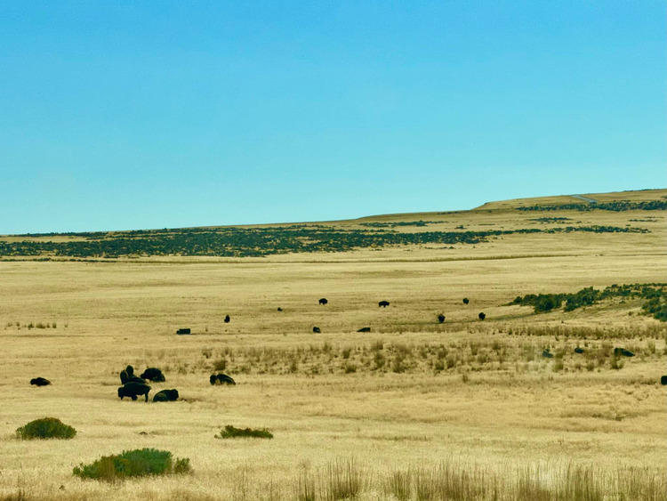 Antelope Island State Park