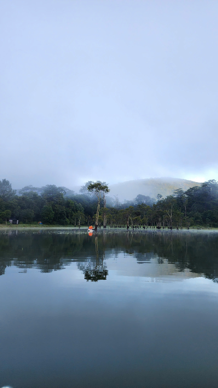 Camping giữa rừng, chèo Súp tại Suối Tía - Khu cắm trại Rừng Lá Phong - Hồ Tuyền Lâm - Đà Lạt