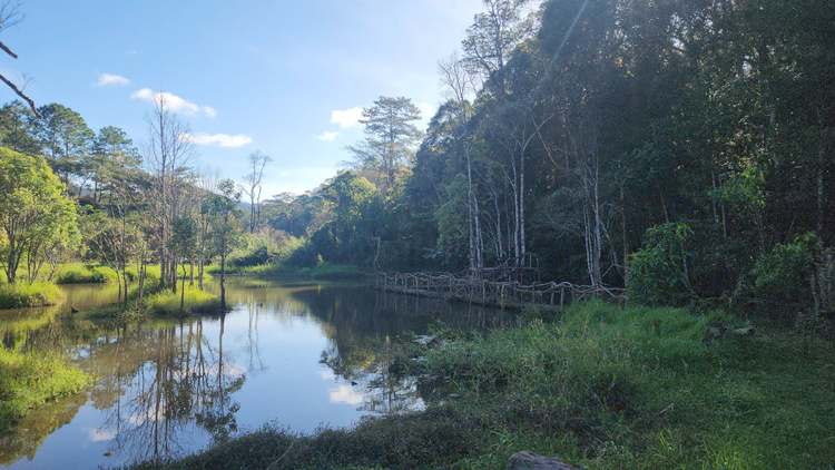 Camping giữa rừng, chèo Súp tại Suối Tía - Khu cắm trại Rừng Lá Phong - Hồ Tuyền Lâm - Đà Lạt