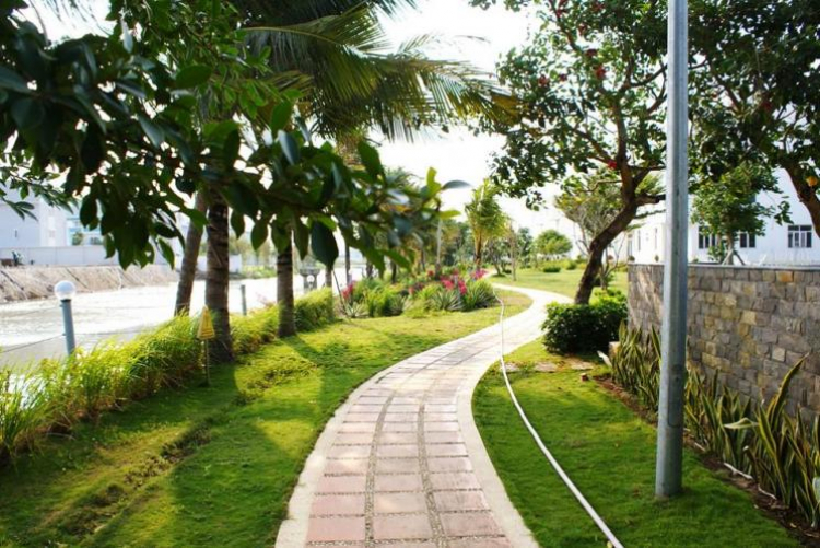 Hiện tượng M.I.K và độc chiêu câu khách tại The Park Residence Hiện tượng M.I.K và độc chiêu câu khách tại The Park Residence