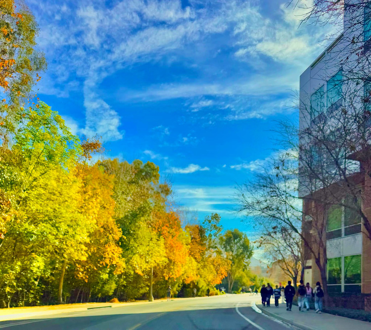 University of California, Riverside