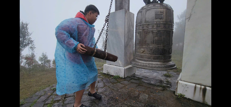 Đỉnh Bạch Mã Sơn - Huế - Đường lên Tiên Giới - 29 Tết. Ngắm loài hoa đặc trưng - Đỗ Quyên chuông hồng