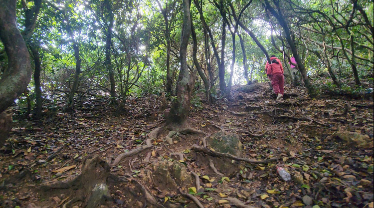 Đi Đà Nẵng có gì thú vị - Ghềnh Bàng - Sơn Trà - Bãi biển hoang sơ, leo trèo, trekking nhẹ nhàng cho những ai thích khám phá