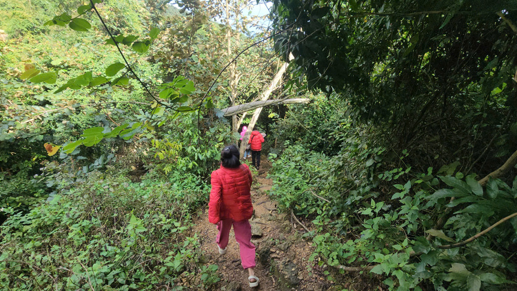 Đi Đà Nẵng có gì thú vị - Ghềnh Bàng - Sơn Trà - Bãi biển hoang sơ, leo trèo, trekking nhẹ nhàng cho những ai thích khám phá