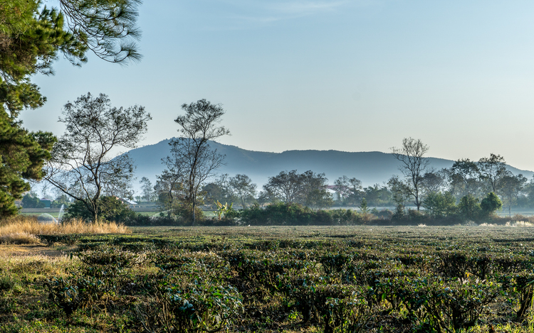 Du xuân 2025 - Lần đầu tiên đặt chân tới Buôn Ma Thuộc - Pleiku - Kontum