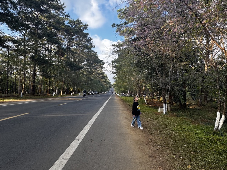 Du Xuân 2025 - Lần đầu tiên đặt chân tới Buôn Ma Thuộc - Pleiku - Kontum Du Xuân 2025 - Lần đầu tiên đặt chân tới Buôn Ma Thuộc - Pleiku - Kontum