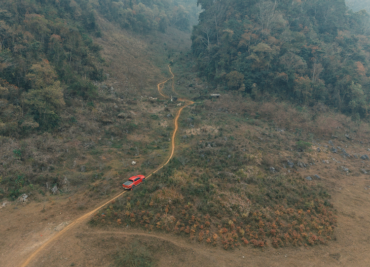DJI_20250118130627_0175_D.JPG DJI_20250118130627_0175_D.JPG
