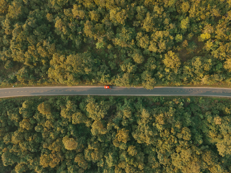 DJI_20250121164957_0336_D.JPG DJI_20250121164957_0336_D.JPG