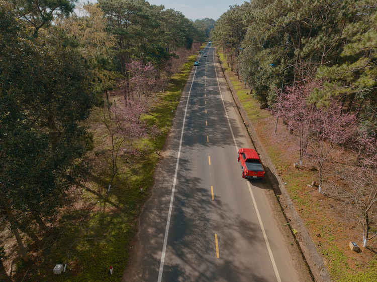 DJI_20250121092934_0317_D.JPG DJI_20250121092934_0317_D.JPG