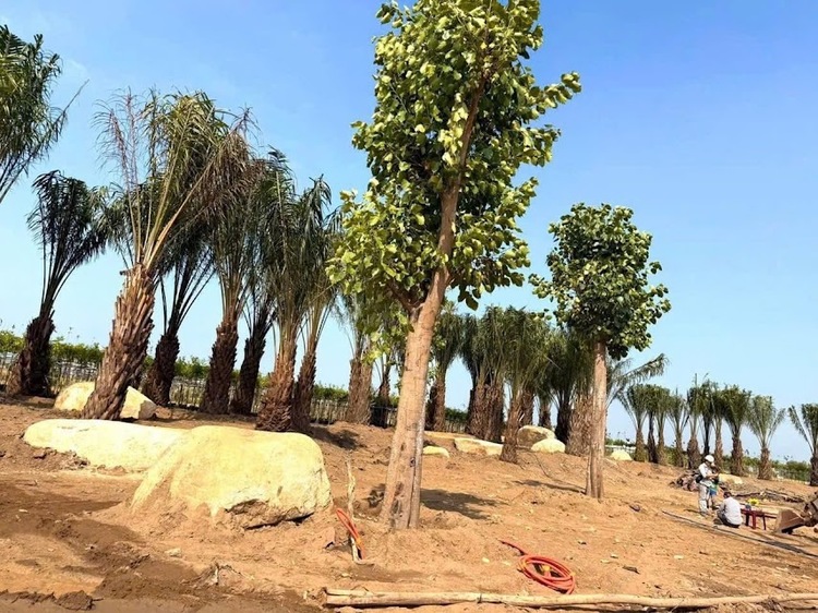 Tin vui cho tỉnh Long An