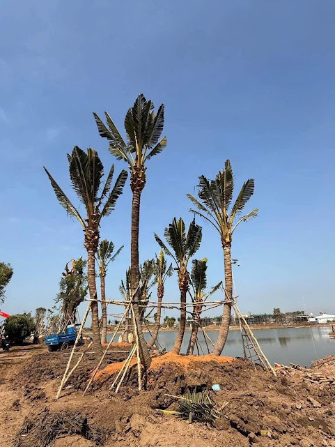 Tin vui cho tỉnh Long An