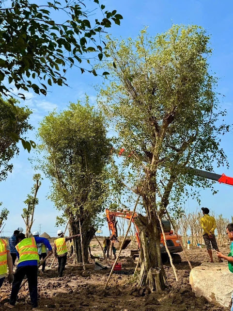 Tin vui cho tỉnh Long An