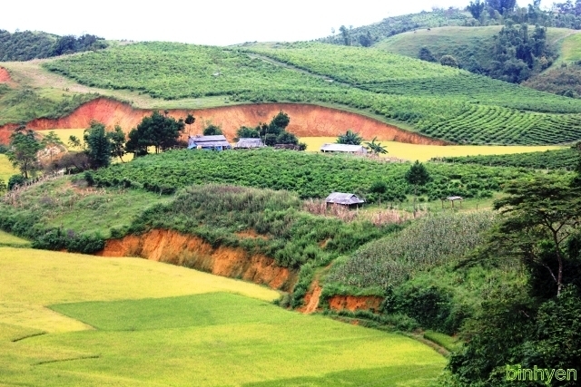 Bắc Việt – Thượng Lào du k‎ý!