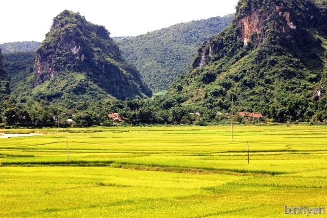 Bắc Việt – Thượng Lào du k‎ý!