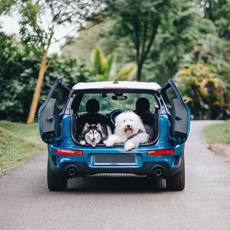 MINI Clubman được hưởng nhiều gói ưu đãi hấp dẫn, cơ hội sở hữu xe sang Anh Quốc dành cho gia đình ngay trong tháng 3