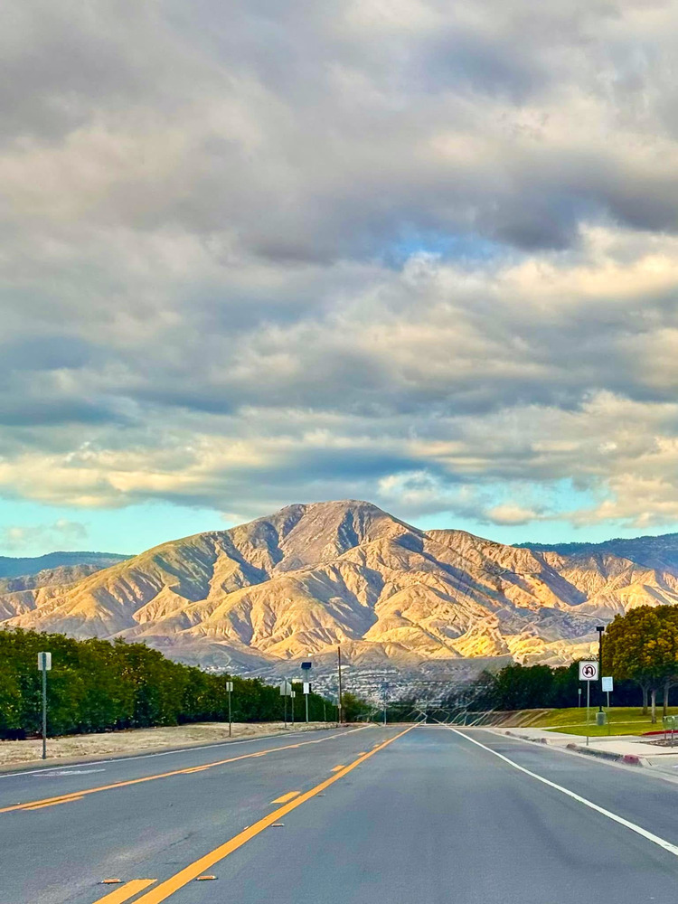 Redlands City