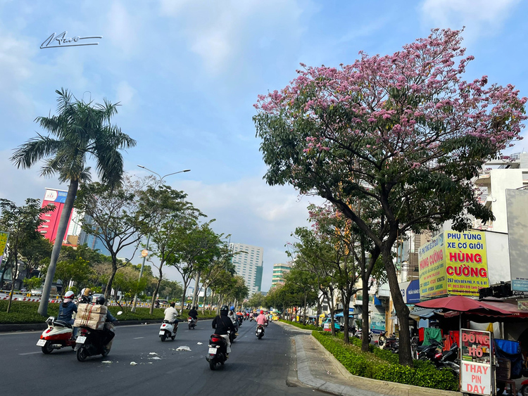 Những con đường đẹp nhất Sài Gòn TP.HCM Những con đường đẹp nhất Sài Gòn TP.HCM