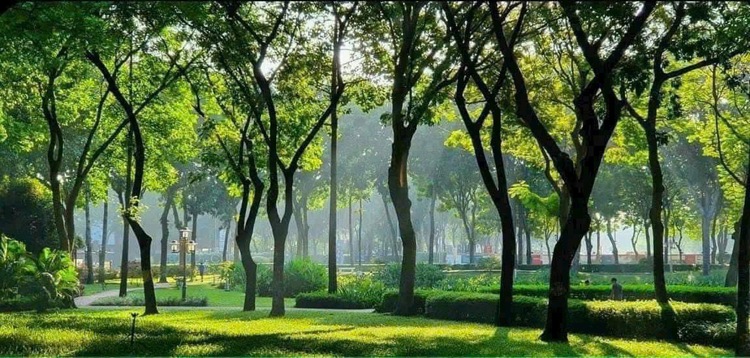 Khu đô thị Celadon City - Tân Phú, có đáng sống hay đầu tư?
