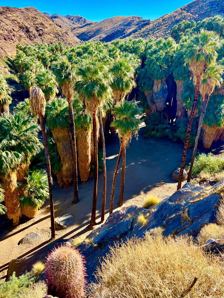 Agua Caliente Indian Reservation
