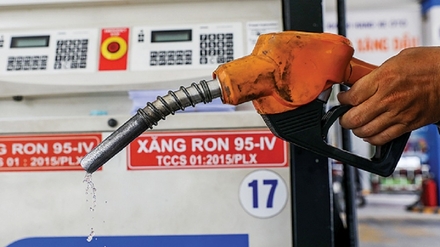 xang-dau1.jpg
