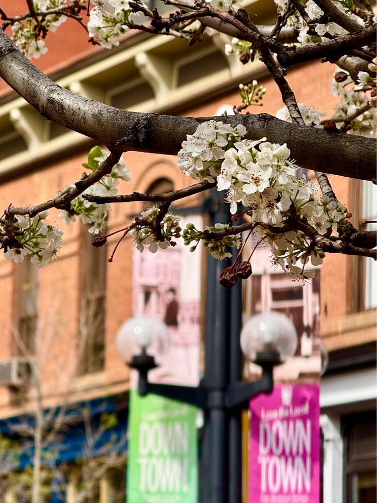 Downtown Boulder - Colorado