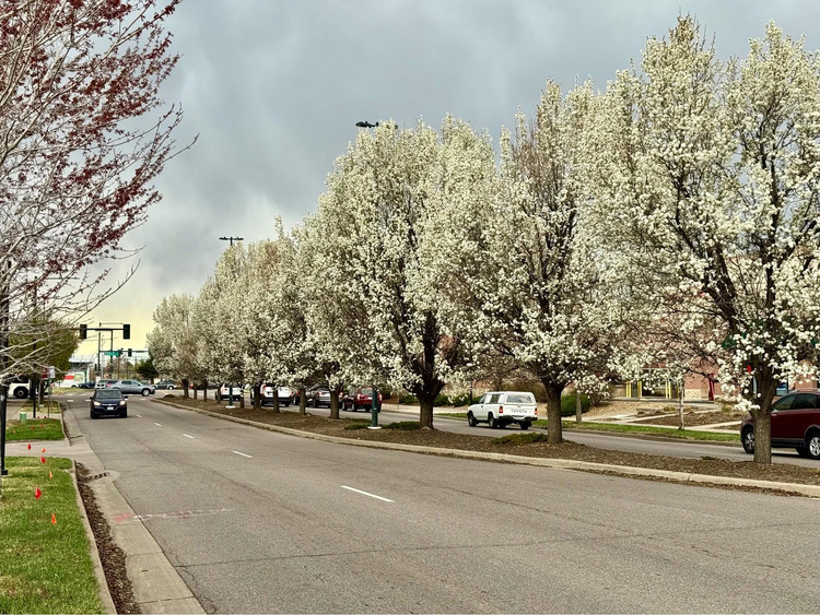 Denver - Colorado