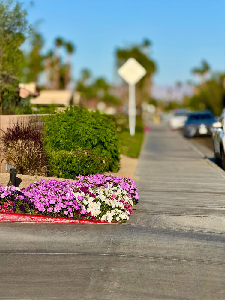 Palm Desert - Palma Village