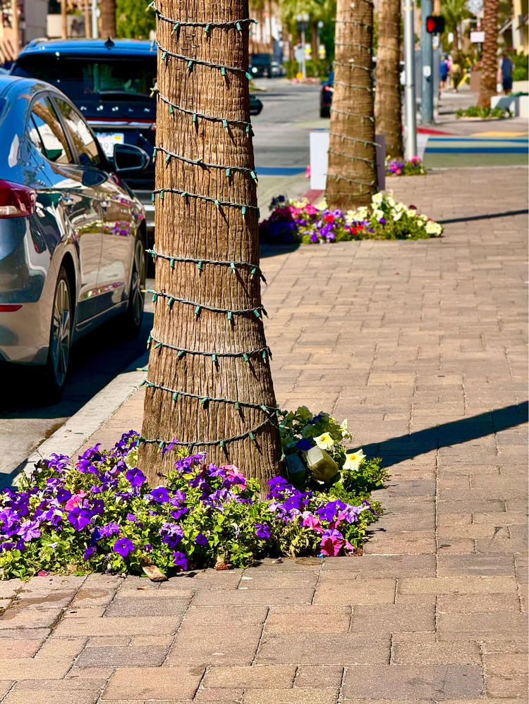 Palm Desert - Palma Village